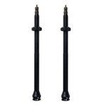 Schwalbe SV Tubeless Ventielset - 100 mm