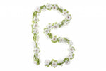 Bloemenstreng Basil Wit
