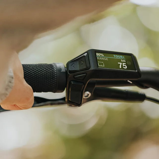 Display Bosch Purion 200